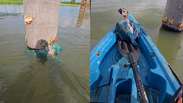Pescador grava regaste de filhote de arara-canind&eacute; ilhado em &aacute;rea alagada de Rond&ocirc;nia