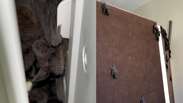 Col&ocirc;nia de morcegos &eacute; encontrada dentro de ar-condicionado durante manuten&ccedil;&atilde;o em Porto Alegre