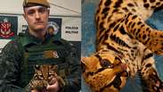 Pol&iacute;cia recebe chamado para resgatar gato em SP, mas &eacute; surpreendida ao encontrar jaguatirica