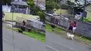 Menino &eacute; atacado por nove c&atilde;es no Paran&aacute;