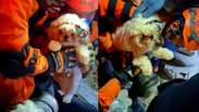 Cachorrinho &eacute; resgatado com vida sob escombros de pr&eacute;dio ap&oacute;s terremoto na Venezuela