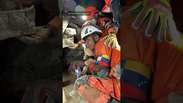 Cadelinha presa sob escombros de terremotos na Venezuela &eacute; resgatada ap&oacute;s opera&ccedil;&atilde;o de cinco horas