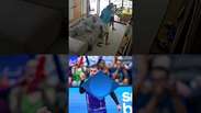 Bruninho do v&ocirc;lei comemora gols do Brasil com amigos e &eacute; flagrado por c&acirc;mera de seguran&ccedil;a