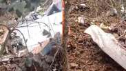 Queda de avi&atilde;o mata piloto e pesquisadora alem&atilde; em Campo Grande (MS)