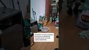 Menino mantido trancado sem &aacute;gua e comida em Goi&acirc;nia &eacute; resgatado no dia do anivers&aacute;rio #shorts