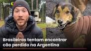 Brasileiro faz buscas por c&atilde;o que desapareceu em viagem na Argentina #shorts