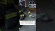 Bombeiros usam m&aacute;scara de oxig&ecirc;nio em pombo que passou mal ap&oacute;s inalar fuma&ccedil;a nos EUA #shorts