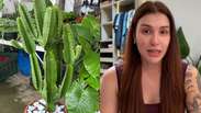 Influencer diz que quase ficou cega ap&oacute;s l&iacute;quido de cacto-candelabro atingir seus olhos em Rond&ocirc;nia