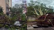 Tempestade causa destrui&ccedil;&atilde;o em Ribeir&atilde;o Preto e cidade entra em estado de emerg&ecirc;ncia