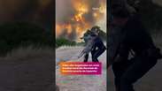 C&atilde;es s&atilde;o resgatados em meio a maior inc&ecirc;ndio florestal da hist&oacute;ria recente da Espanha #shorts