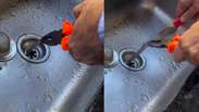 V&iacute;deo de &lsquo;cobra-de-duas-cabe&ccedil;as&rsquo; achada em ralo de pia de cozinha viraliza