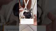 Filhotinha apronta em casa e acaba precisando da ajuda dos bombeiros no Cear&aacute; #shorts