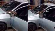 Funcion&aacute;rios resgatam cobra escondida em cap&ocirc; de carro no interior do RJ