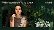 'Junto com o colapso vem a destrui&ccedil;&atilde;o', diz Gaya Herrington ao alertar sobre o futuro do planeta
