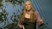 Cientista Nora Bateson diz que 'identidade' &eacute; aspecto negligenciado na sustentabilidade