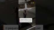 Sequestro fofo: menino encontra gatinho da vizinha na rua e tenta lev&aacute;-lo para casa #shorts