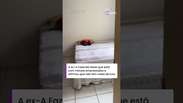 Carol Lekker mostra apartamento vazio ap&oacute;s demiss&atilde;o do SBT e diz que est&aacute; sem dinheiro #shorts