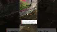 V&iacute;deo mostra GCM sendo 'engolido' por cratera ap&oacute;s cal&ccedil;ada ceder no litoral de SP #shorts