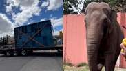 Sob protestos de moradores, elefante Sandro &eacute; transferido de zool&oacute;gico em Sorocaba para santu&aacute;rio em MT
