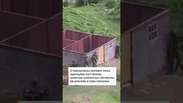 V&iacute;deo mostra c&atilde;es-rob&ocirc;s em a&ccedil;&atilde;o durante exerc&iacute;cio militar entre &Iacute;ndia e EUA #shorts