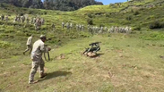 V&iacute;deo mostra c&atilde;es-rob&ocirc;s em a&ccedil;&atilde;o durante exerc&iacute;cio militar entre &Iacute;ndia e EUA