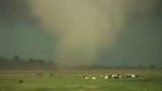 Tornado se forma ao lado de pasto; veja flagrantes