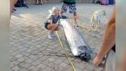 Peixe gigante de 5,4 m é encontrado em praia dos EUA