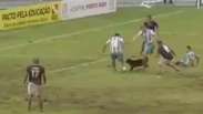 Cachorro invade campo e evita gol em clássico paraense