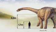 Paleontólogos acham ossos do maior dinossauro já descoberto