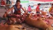 Festival gastronômico da carne de cachorro causa polêmica