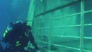 Vídeo mostra partes submersas do Costa Concordia