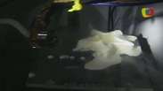 Impressora 3D cria sorvete em formato de estrela