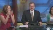 Morcego invade estúdio de TV e assusta apresentadores