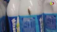 Barata aparece em embalagens de leite de supermercado em SP