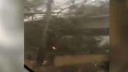 Motorista registra queda de árvore em temporal de São Paulo