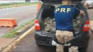 Policiais do Paraná apreendem toneladas de drogas neste feriado