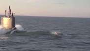 Golfinhos 'perseguem' submarino mais moderno dos EUA no mar