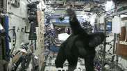 O que um gorila faz na Estação Espacial Internacional?