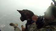 Os 'cães paraquedistas' que combatem caçadores de animais na África
