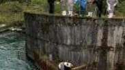 Panda é resgatado após cair em hidrelétrica na China; assista