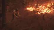 Cerca de mil imóveis são arrasados pelo fogo no Chile
