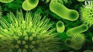 OMS alerta sobre bactérias super resistentes