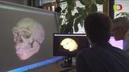 Fósseis mais antigos do Homo sapiens são descobertos
