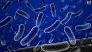 Bactérias podem acabar com humanos no futuro