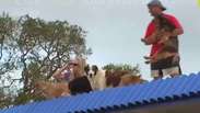 Casal porto-riquenho salva animais de estimação de furacão