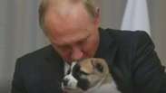 Putin ganha cachorro de presente de aniversário