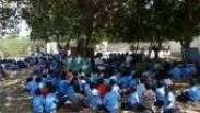 As 'salas-árvores': como centenas de crianças estudam em Moçambique