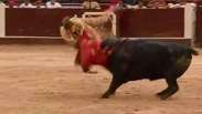 Espanhol é ferido por chifres em tourada na Colômbia