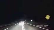 Vídeo: motorista foge de abordagem na rodovia e se envolve em acidente
