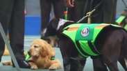 Equador aposenta 61 cães policiais com honras